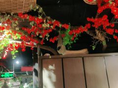 -味舵主重庆火锅(邓尉路店)