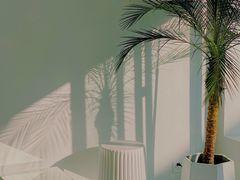 -皮市街