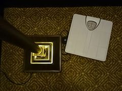 落地灯体重秤-天贵国际酒店(大同古城店)