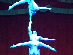 -珠海横琴长隆《卡卡虎奇遇记》