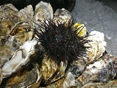 海胆蒸水蛋-港畔赶海蒸汽海鲜烧烤自助(仙螺岛店)