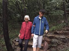 -金钉子远古世界景区