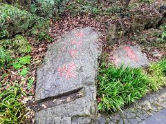 -镇江市南山风景名胜区竹林景区