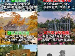 -成都大熊猫繁育研究基地