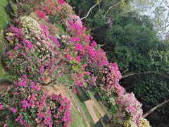 -三亚蜈支洲岛旅游区