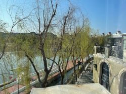 -卓玥国际月子会所(罗山路店)