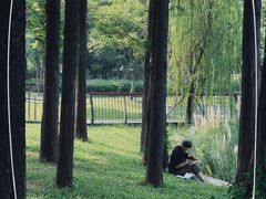 -四海公园(南山区)