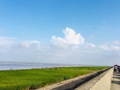 -南汇嘴观海公园