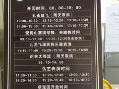 -西双版纳原始森林公园