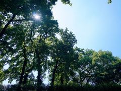 -宁波市保国寺古建筑博物馆