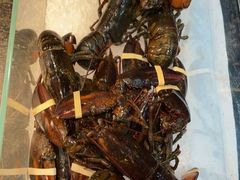 -博林天瑞喜来登酒店·西丽尚膳