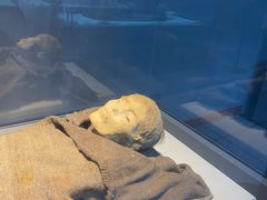 -巴音郭楞蒙古自治州博物馆