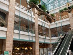 -大族广场Mall&More