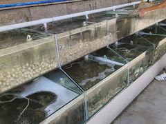 水产区-海岸风情蒸汽海鲜自助餐厅(家宴金手勺店)