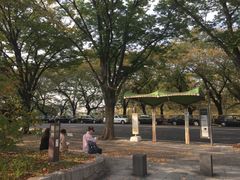-名古屋城