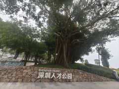 -深圳人才公园