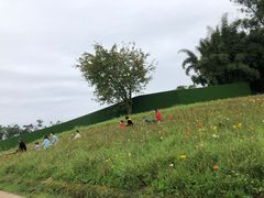 -保利石象湖景区