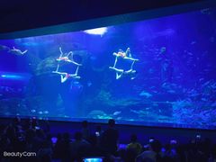 -多彩贵州城极地海洋世界