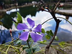 -崇圣寺三塔文化旅游区