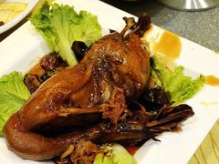 -天津津利华酒店