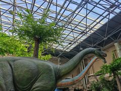 -国家自然博物馆