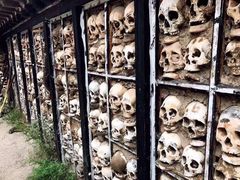 -比如骷髅墙景区