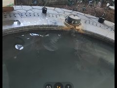 -青岛海泉湾度假区温泉