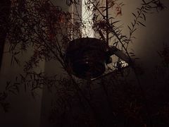 -MEDISN·药厂