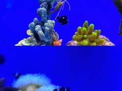 -海合安武汉极地海洋公园