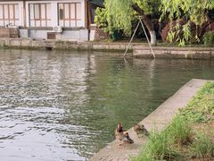 -西湖天地