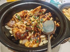 -鸽小宝(深圳首店)