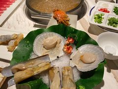 -汤城·料青山