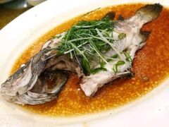 清蒸立鱼-香山家宴