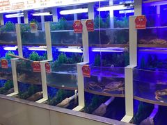 -七欣天香辣蟹火锅(扬州望月路店)