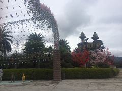 -田野绿世界