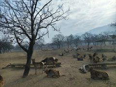 -西安秦岭野生动物园