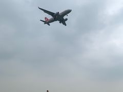 -空港花田景区