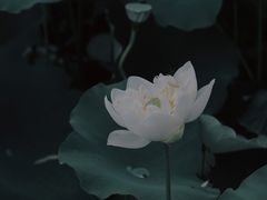 -黄兴公园