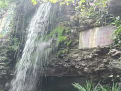 -广州白天鹅宾馆