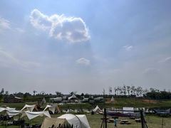 -空港花田景区