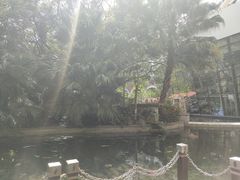 -Waterfall瀑布湾优健源(华侨城店)