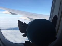 -纽瓦克自由国际机场