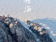 -东海半边山旅游度假区