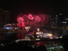 -新加坡丽思卡尔顿美年酒店