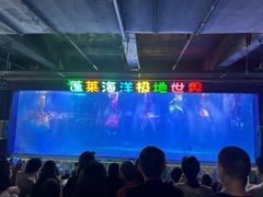 -蓬莱欧乐堡海洋极地世界