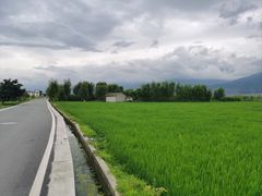 -大理洱海