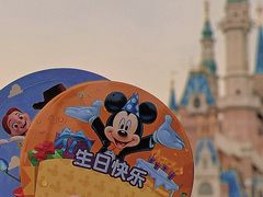 -上海迪士尼度假区