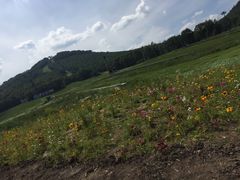 -长白山万达喜来登度假酒店