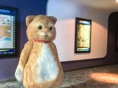 -幸福蓝海国际影城(河西店)