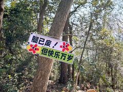 -东明山森林公园